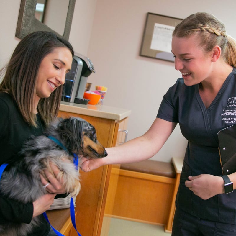 Pacific Crest Companion Animal Veterinary Hospital in Exeter